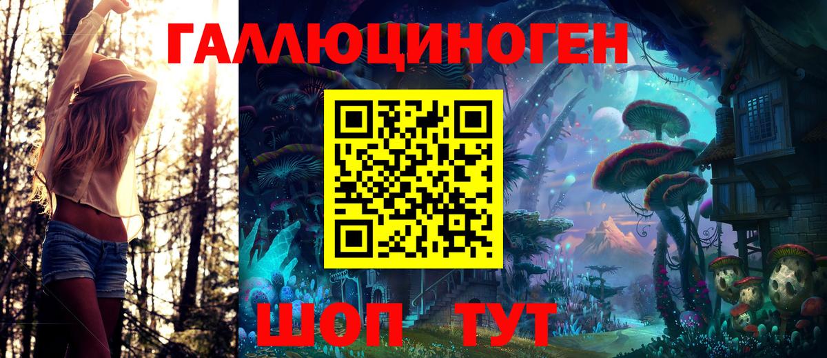 Псилоцибиновые грибы Cubensis Лесной