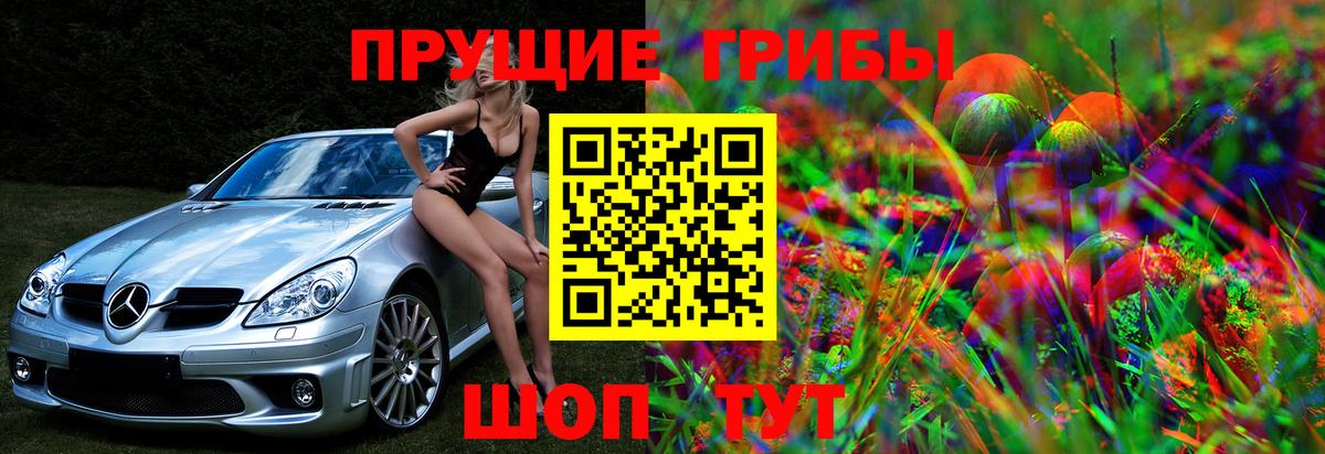 Псилоцибиновые грибы MAGIC MUSHROOMS  дарнет шоп  Вход с VPN  Лесной  Псилоцибиновые грибы Cubensis 